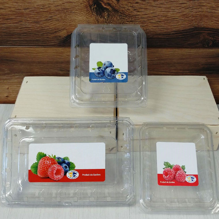 Boîtes transparentes étiquetées pour fruits