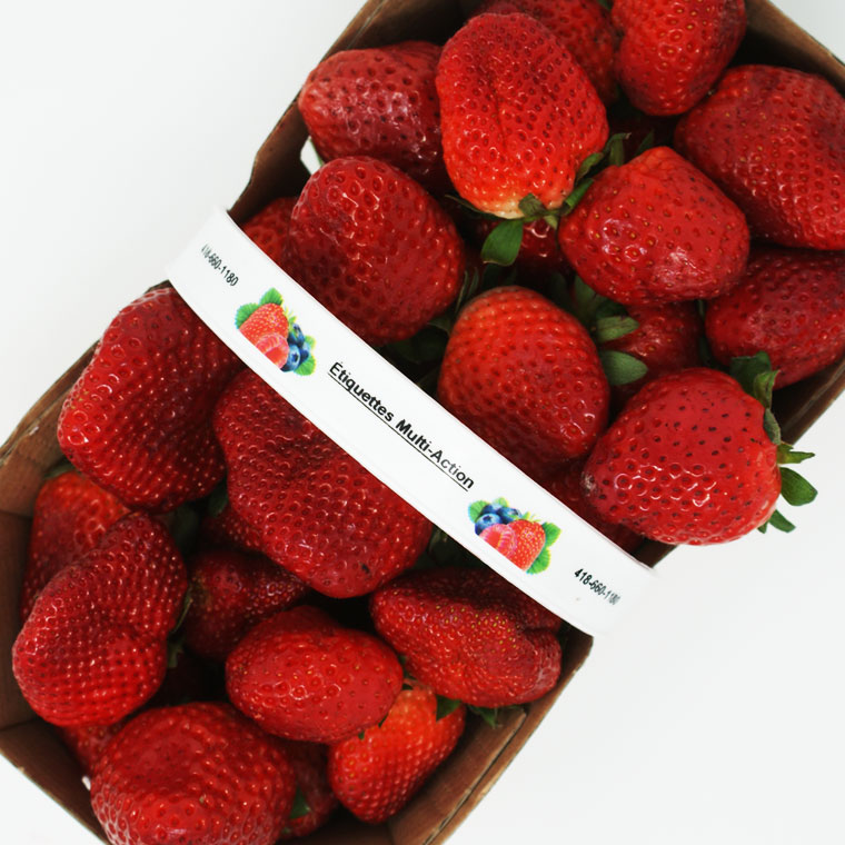 Panier pour cueillette de fraises avec étiquette sur la poignée