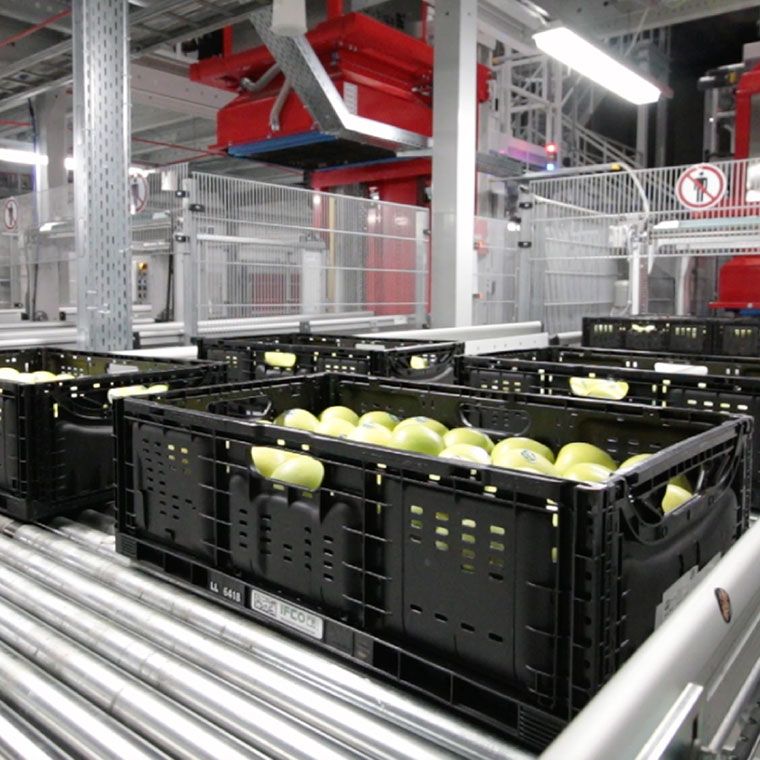 Bins containing labeled apples in a labeling factory