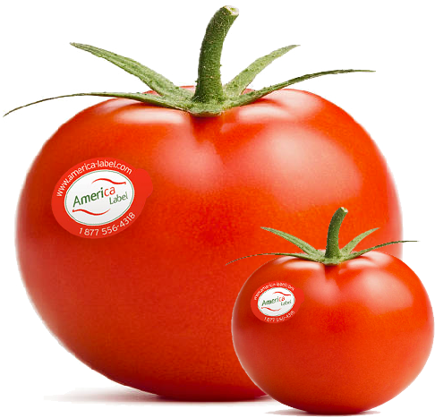 Tomates rouges étiquetées